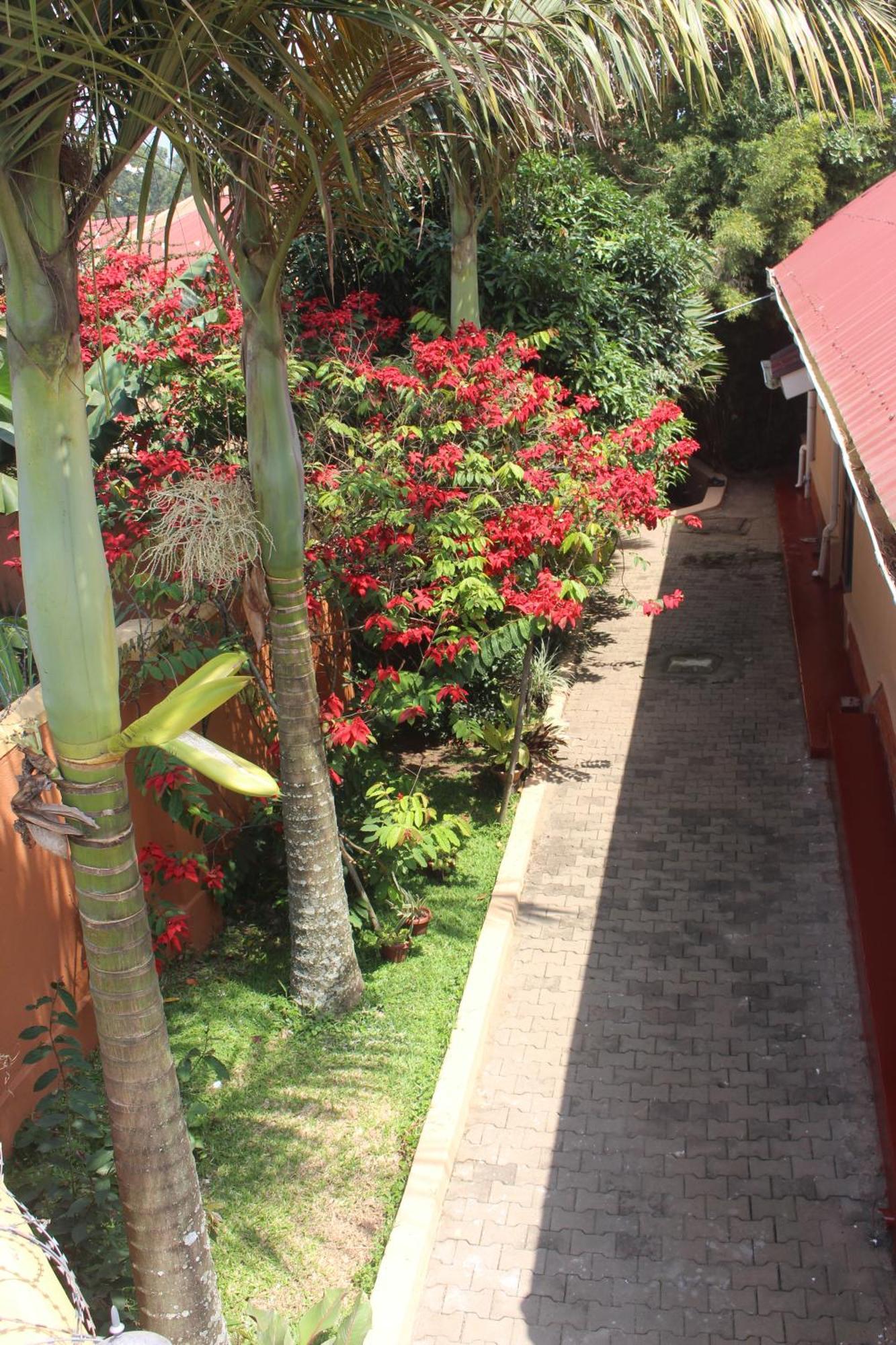 Montane Safaris Hotel Fort Portal المظهر الخارجي الصورة